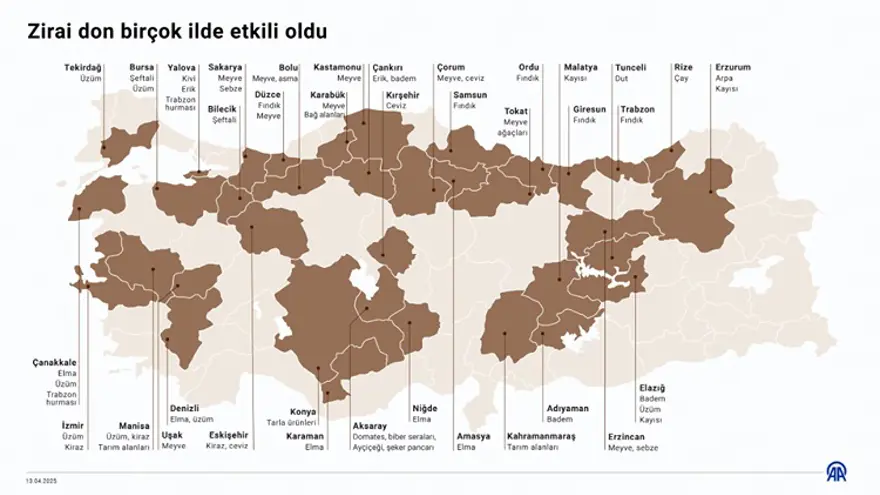 ZİRAİ DON FİYATLARI OLUMSUZ ETKİLEDİ 4 ZİRAİ DON FİYATLARI OLUMSUZ ETKİLEDİ 4