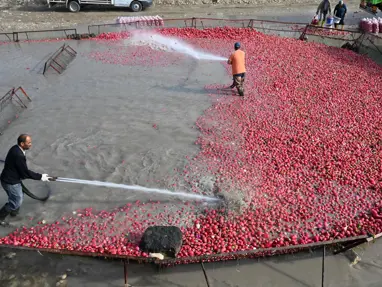 Çamurlarını temizlemek için saatlerce uğraşıyorlar. Şifa deposu besinde zahmetli hasat