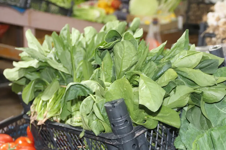 YEMEKTEN SONRA FENALAŞTILAR 1