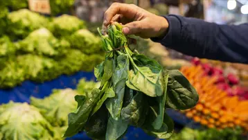 Ispanak sanıp yediler, tek tek fenalaştılar: 11 kişi hastanelik oldu, birinin durumu ağır