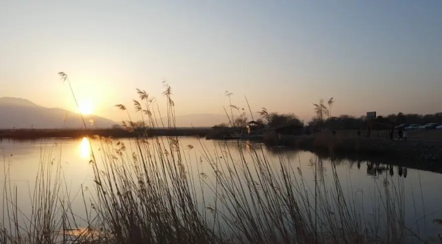 Erzincan'daki sığınak 149 göçmen kuşu türüne ev sahipliği yapıyor 1 Erzincan'daki sığınak 149 göçmen kuşu türüne ev sahipliği yapıyor 1